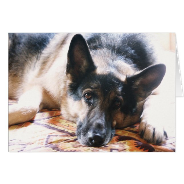 Cartão Mojia (Frente Horizontal)