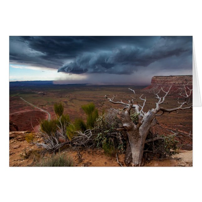 Cartão Moki Dugway Thunderstorm - Utah Meridional (Frente Horizontal)