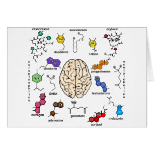 Cartão Moléculas Galore!