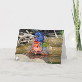 Cartão molhado da pintura