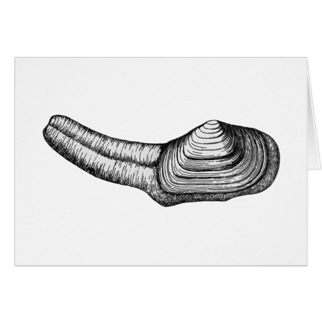 Cartão Moluscos de Geoduck (ilustração preto e branco) (Frente Horizontal)