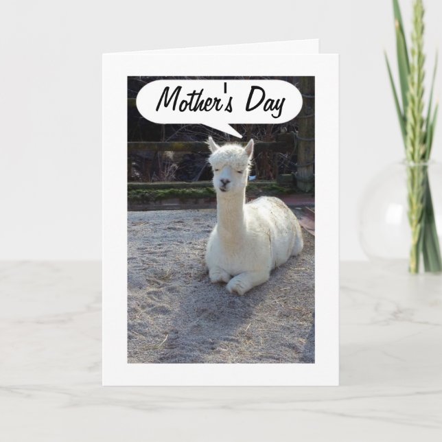 Cartão MOM-LLAMA diz FELIZ DIA DE AS MÃES=MÃE INCRÍVEL (Frente)