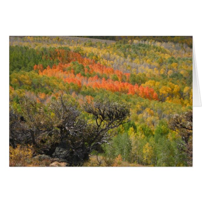 Cartão Momento Monet (Frente horizontal)