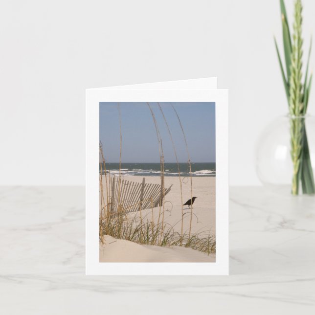 Cartão Momento quieto em uma praia de Hilton Head (Frente)