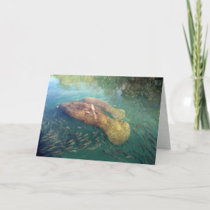 Cartão Momma and Baby Manatee Mother's Day Card