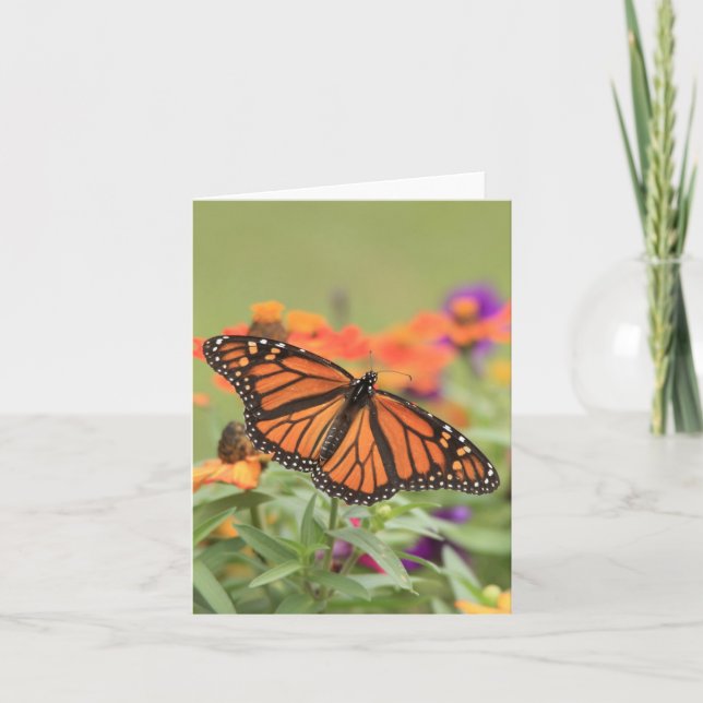 Cartão Monarca (Frente)