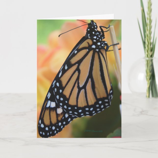 Cartão Monarca (Frente)