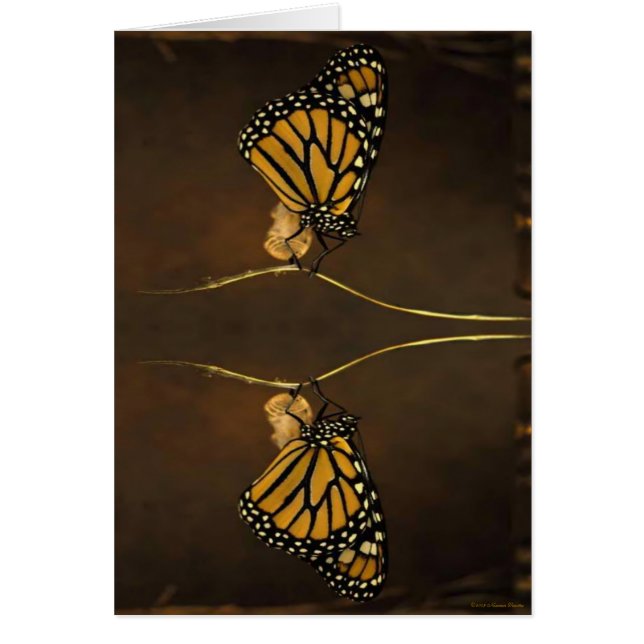 Cartão Monarch (Frente)