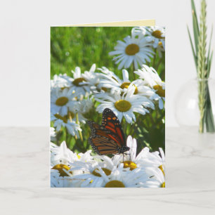 Cartão Monarch and Daisies