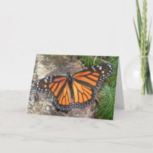Cartão Monarch Butterfly Birthday Card