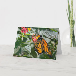 Cartão Monarch Butterfly - Blank Note Card