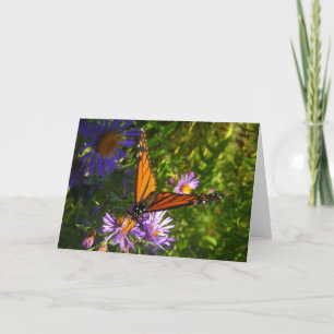 Cartão Monarch Butterfly Card