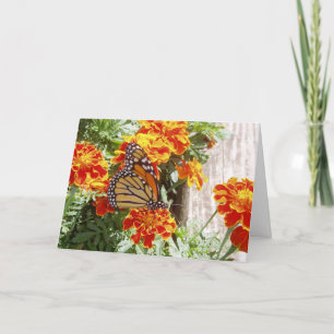 Cartão "Monarch Butterfly" Get Well Card #1