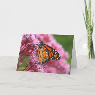 Cartão Monarch in the Weeds Greeting Card