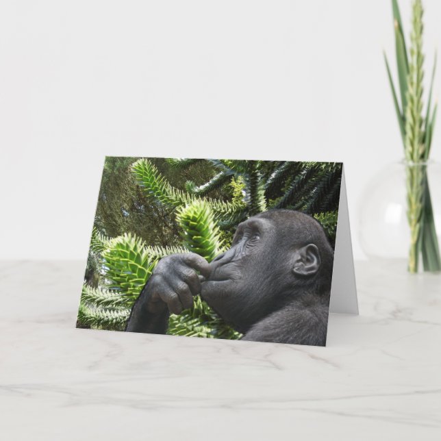 Cartão Monkey Puzzle. (Frente)