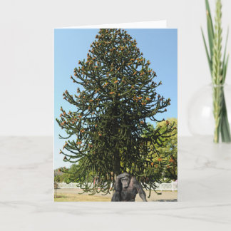 Cartão Monkey Puzzle & Puzzled Gorilla.