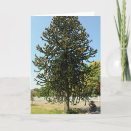 Cartão Monkey Puzzled.