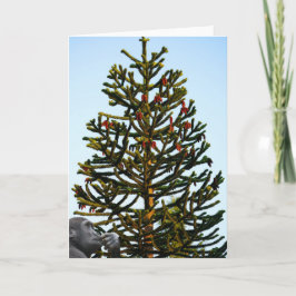 Cartão Monkey Puzzled.