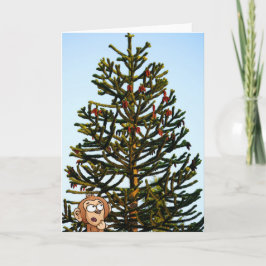 Cartão Monkey Puzzled.