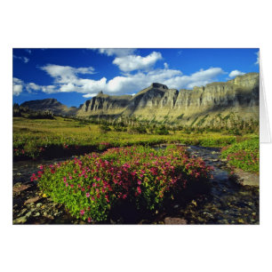 Cartão Monkeyflowers em Logan Pass no Glacier National