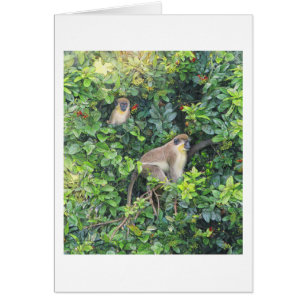 Cartão "Monkeying Around" de Paul McGehee
