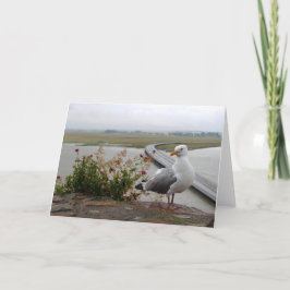 Cartão Mont-Santo-Michel Lookout, Normandia, França - car