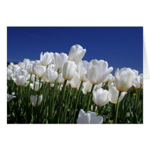 Cartão Montanha das tulipas em um céu azul perfeito