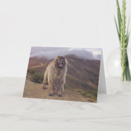 Cartão montanha Leonberger