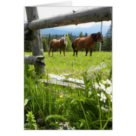 Cartão Montanhas Cárpticas - Ucrânia