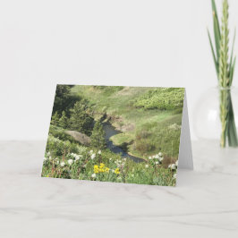 Cartão Montanhas da pata de urso, Havre, TA