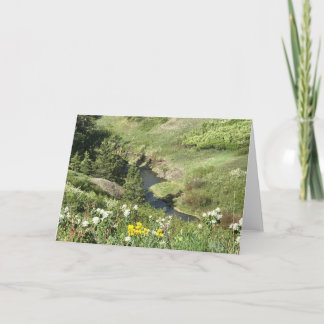 Cartão Montanhas da pata de urso, Havre, TA