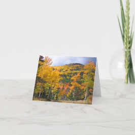 Cartão Montanhas do Colorado Rocky Aspen Árvores Caem Fol