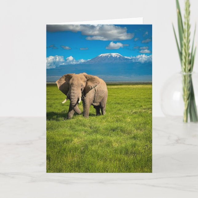 Cartão Montanhas | Monte Kilimanjaro Tanzânia, África (Frente)