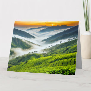 Cartão Montanhas Natureza ao ar livre Paisagem Calma Pací