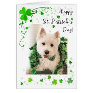 Cartão Montanhas ocidentais Terrier do dia de St Patrick