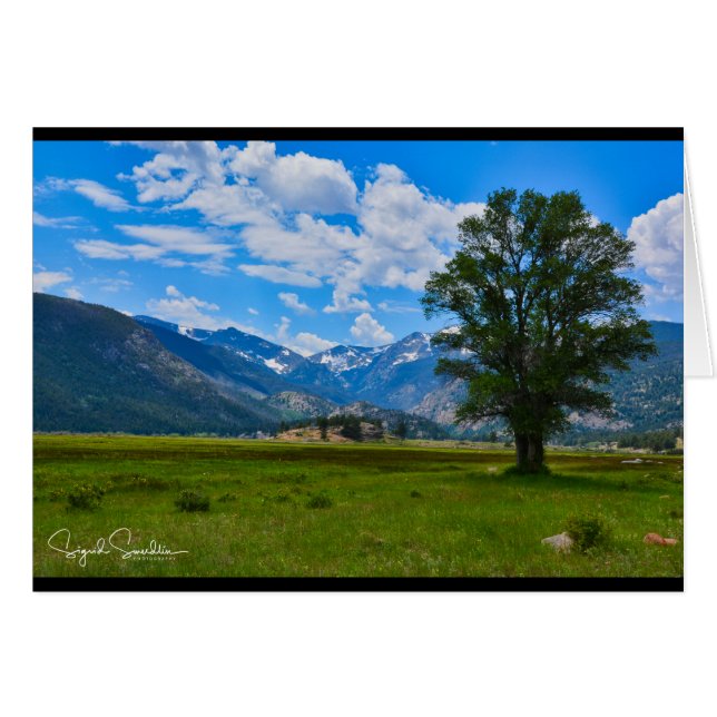 Cartão Montanhas rochosas (Frente Horizontal)