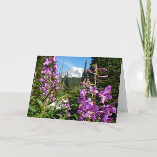 Cartão Monte Rainier Entre Flores Roxas de Phlox (Frente)