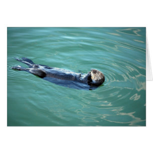 Cartão Monterey Bay Sea Otter