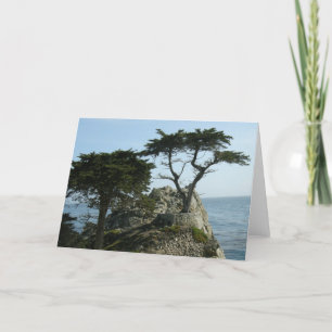 Cartão Monterey Cypress Greeting Card
