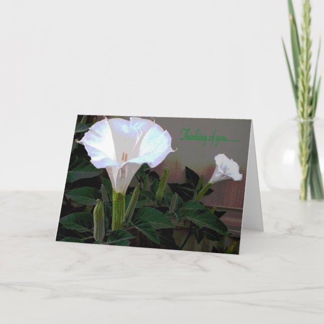 Cartão Moonflower que pensa de você (Frente)