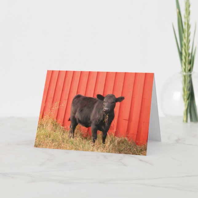 Cartão Mooooo (Frente)