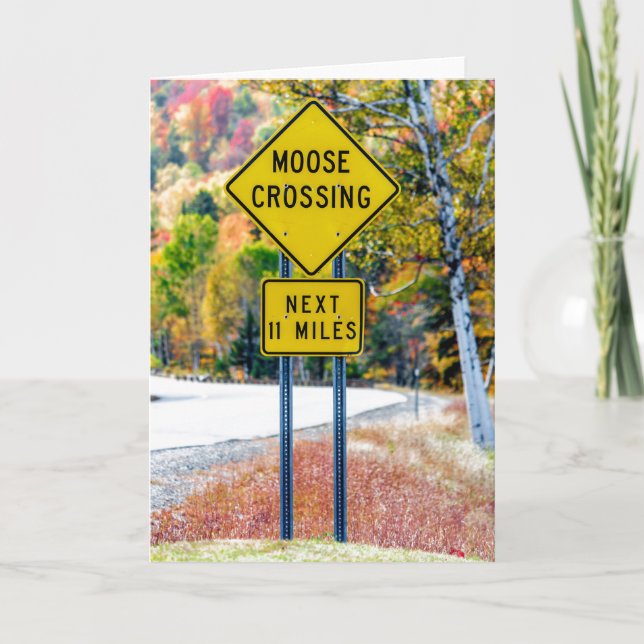 Cartão Moose Crossing Greeting Card (Frente)