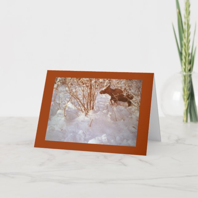 Cartão Moose in Alaska Blank Greeting Card (Frente)