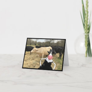 Cartão Mootilda diz "HAY!"