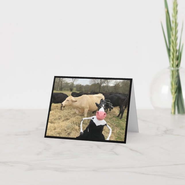 Cartão Mootilda diz "HAY!" (Frente)