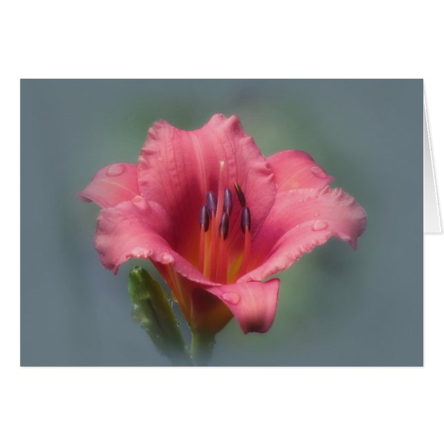 Cartão Morango e Azul - Diário (Frente Horizontal)