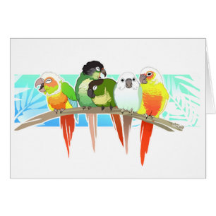 Cartão Mordente verde Conures