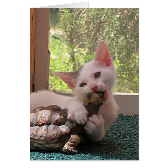 Cartão Mordida de Amor (Frente)