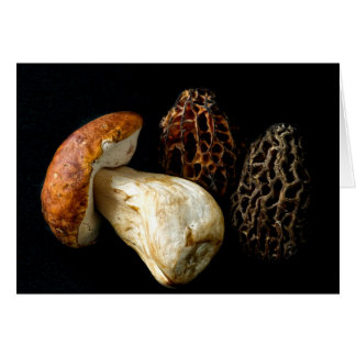 Cartão Morels e o Rei Bolete