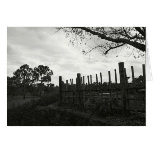 Cartão Morikami em preto e branco